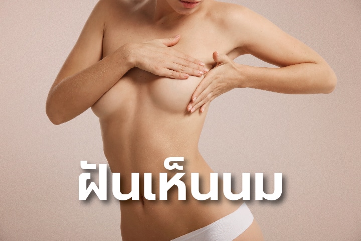 ฝันเห็นนม เลขเด็ด