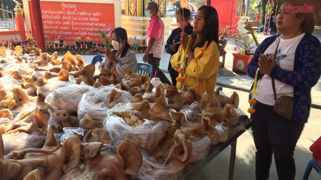 ฝันเห็นหัวหมู เลขเด็ด